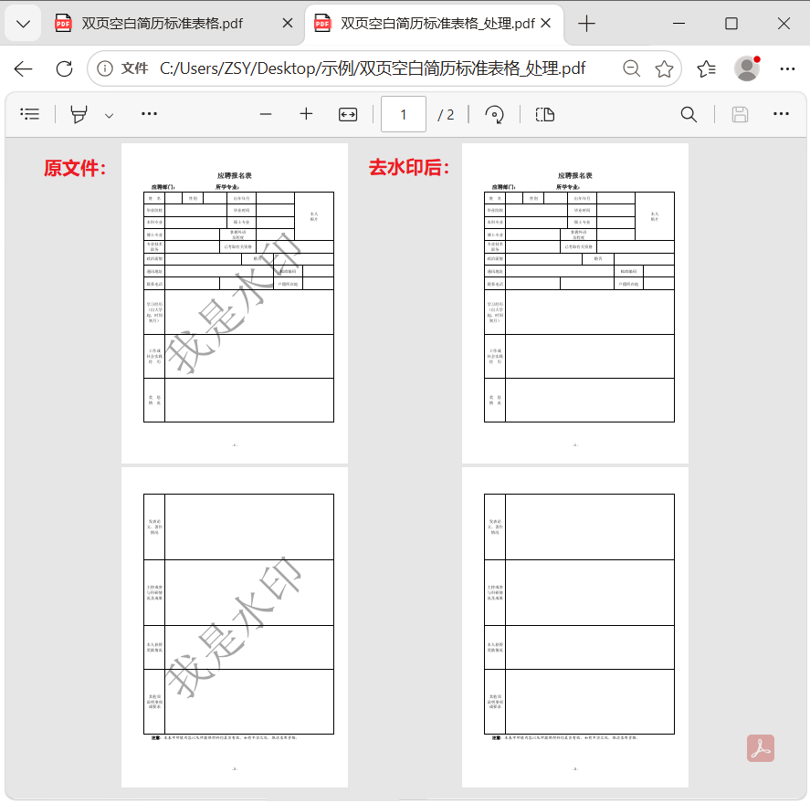PDF去水印工具中文免安装便携版下载|兼容WIN11